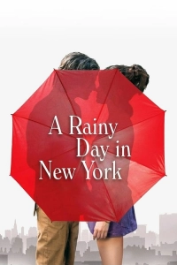 New Yorkta Yağmurlu Bir Gün
